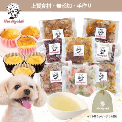 【プレミアム・ドッグミールセットB】犬用ごはん 無添加 手作り Idea dog chef【配送不可地域：離島】