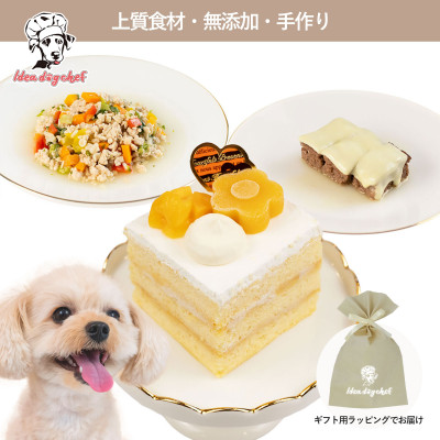 【マンゴーのショートケーキセット】犬のケーキ・ごはん 無添加 手作り Idea dog chef【配送不可地域：離島】