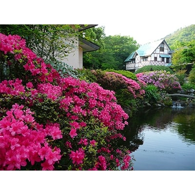赤見温泉ホテル一乃館　「本館　和室」1泊2食付きペア宿泊券