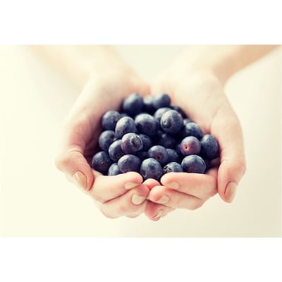 ブルーベリー　いっぽんの樹 一年間オーナー権