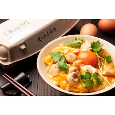 佐野市飛駒町産　大久保養鶏場　飛駒卵　60個(10個入り×6パック)【配送不可地域：離島】