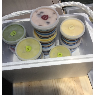 ジェラートサンタルチア　季節のオススメ10種類【配送不可地域：離島】