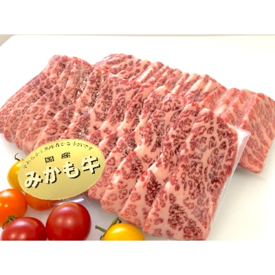 「みかも牛」焼肉用600g(300gx2)【配送不可地域：離島】
