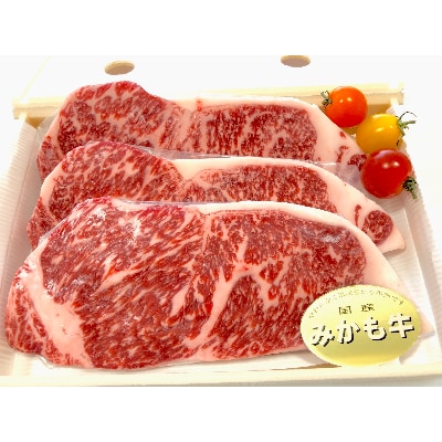 「みかも牛」ステーキ600g(200gx3枚)【配送不可地域：離島】