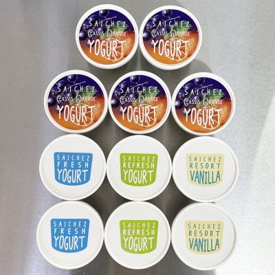 フローズンヨーグルト〈 定番3種類・カシスオレンジ5 〉ヨーグルト　アイスクリーム　シャーベット【配送不可地域：離島】