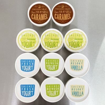 フローズンヨーグルト〈定番3種類・サニーデイレモン3・クラシックキャラメル2〉　アイスクリーム【配送不可地域：離島】