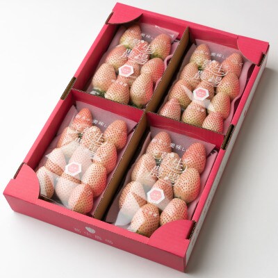 開けてビックリ!!大粒『ミルキーベリー』(300g×4パック)【配送不可地域：離島】