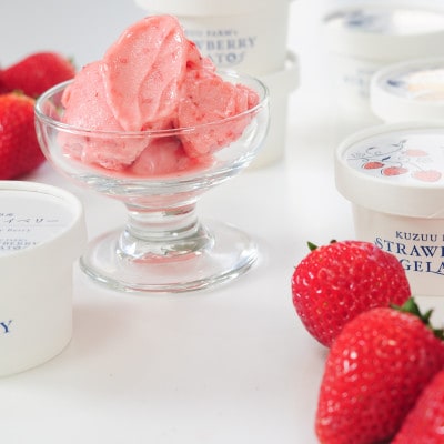 栃木のいちご4品種 ジェラート詰め合わせ 6個【配送不可地域：離島】