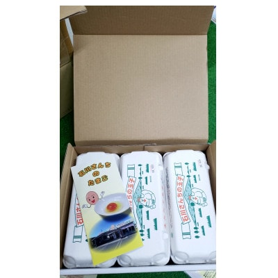 石川さんちのたまご　30個