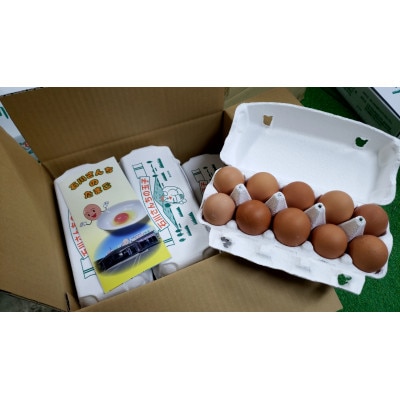 石川さんちのたまご　60個