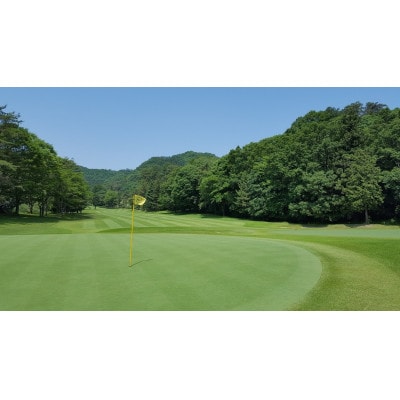 唐沢ゴルフ倶楽部　施設3000円ご利用券×5枚(計15000円分)