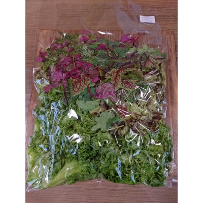 水耕栽培レタス2種とベビーリーフ4種をミックスしたサラダパック【配送不可地域：離島】