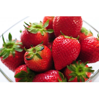 栃木のいちご食べ比べ!「2品種組み合わせ!」セット(260g×2パック)【配送不可地域：離島・沖縄県】