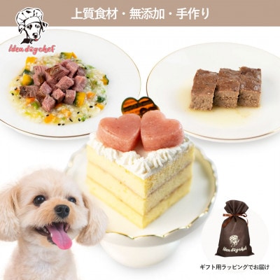 【いちごのショートケーキセット】犬用ケーキ・ごはん 無添加 手作り Idea dog chef【配送不可地域：離島】