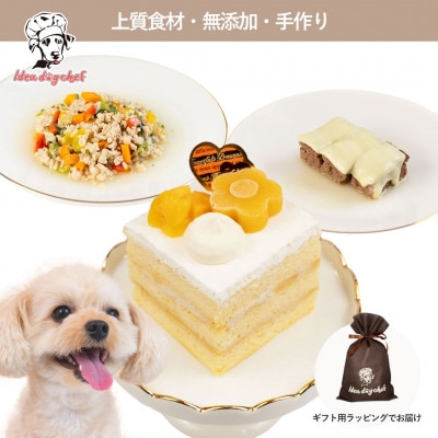【マンゴーのショートケーキセット】犬のケーキ・ごはん 無添加 手作り Idea dog chef【配送不可地域：離島】