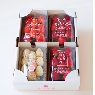 【春イチゴ】栃木いちご4種詰め合わせセット(260g×4パック)【配送不可地域：離島】