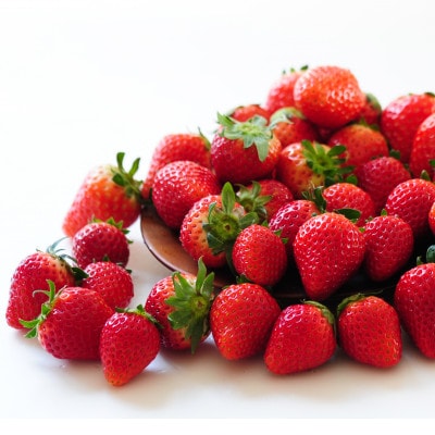 【春イチゴ】『葛生農場』栃木の新品種『とちあいか』(260g×2パック)【配送不可地域：離島】