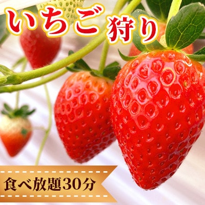 佐野観光農園アグリタウン「いちご狩り」招待券