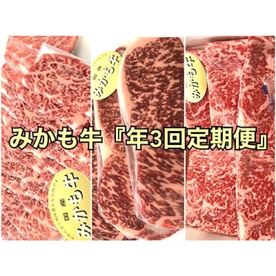 2022年3月発送開始『定期便』みかも牛　全3回【配送不可地域：離島】