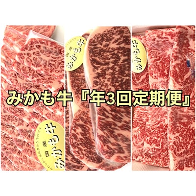 2023年2月発送開始『定期便』みかも牛全3回【配送不可地域：離島】