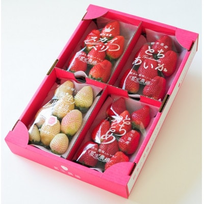 よりどりみどり!　栃木いちご4種詰め合わせ　(300g×4パック)【配送不可地域：離島】