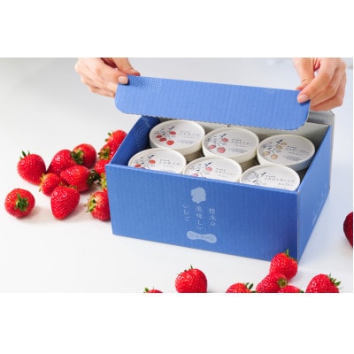 栃木のいちご4品種 ジェラート詰め合わせ 12個(4種×各3)【配送不可地域：離島】