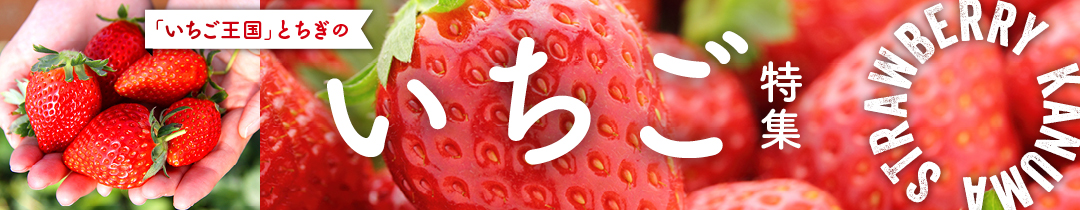 鹿沼市のいちご 先行予約