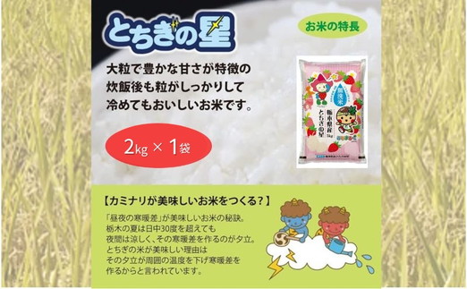 【定期便2ヶ月】栃木県鹿沼市産 とちぎの星 無洗米 令和7年産 2kg ｜ 水稲うるち精米 単一原料米 お米 特A 大粒 甘さ ※沖縄・離島への配送不可