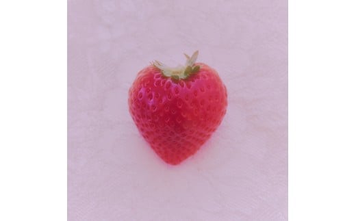 冷凍いちご 450g×3