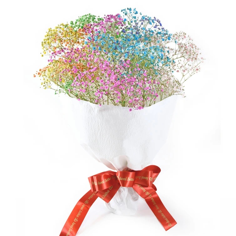 ふわふわブーケ ｜ 生花 花 ギフト ロマンチックかすみ草 七色 輝く カスミソウ カスミ草 かすみそう お祝い プレゼント カラフル 花束 おしゃれ