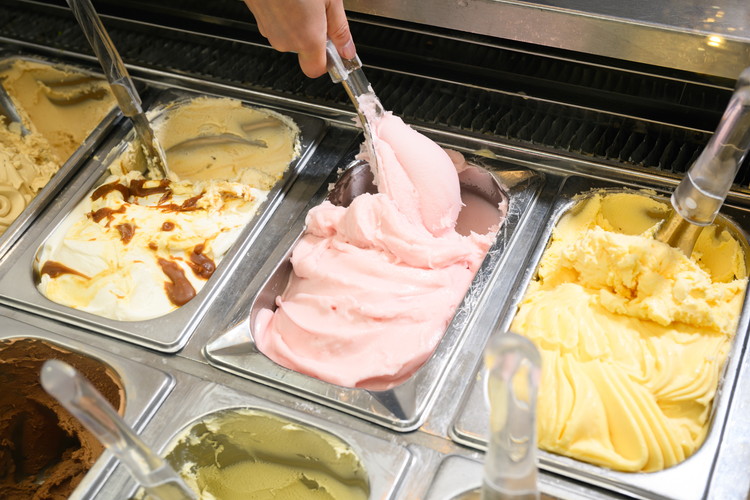 はちみつ ジェラート と はちみつ屋さん の カマンベール（ジェラート等14個）  スイーツ お菓子 アイス シャーベット お菓子 ケーキ タルト ※北海道・沖縄・離島への配送不可