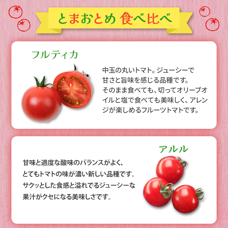 栃木県 鹿沼産 高糖度 フルーツトマト ”とまおとめ” 食べ比べ 1kg トマト カキヌマファーム アイコ フルティカ アルル イエローアイコ 濃厚 入手困難 贈り物 栃木県 鹿沼市　※2025年12月下旬～2026年6月上旬頃に順次発送予定