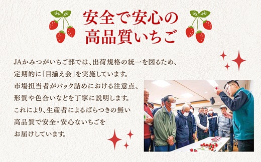 【先行予約】いちご市 鹿沼の美味しい「い」「ち」「ご」とちあいか 1箱4パック入り（1パック270g×4）（1月発送） ｜ イチゴ フルーツ 果物 甘い うまい 日本一 品質 ビタミンC かぬま ※沖縄・離島への配送不可 ※2026年1月上旬～1月下旬頃に順次発送予定