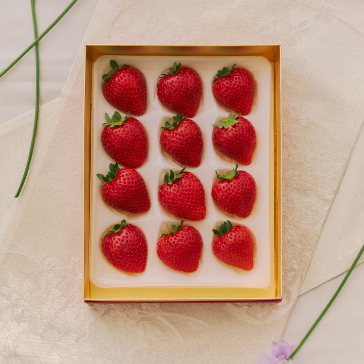 【定期便4ヶ月】完熟オーガニックとちあいか 9粒または12粒 ※2025年12月上旬～2026年4月下旬頃に順次発送予定