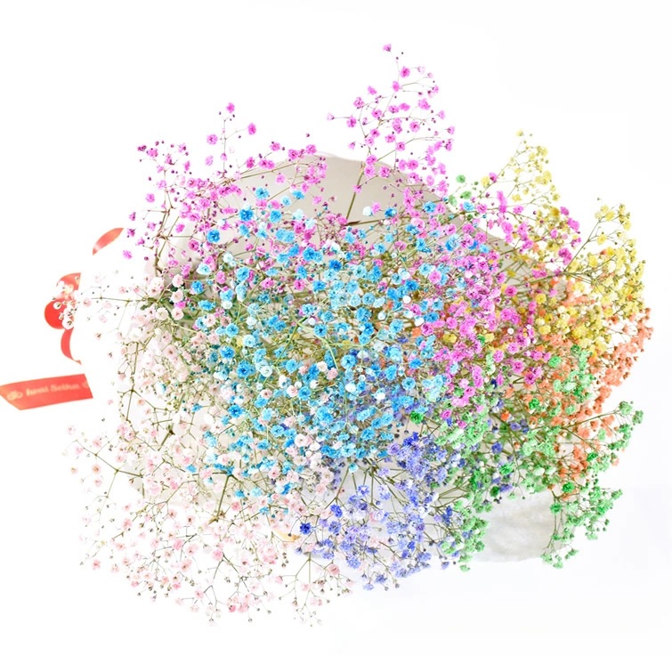 ふわふわブーケ ｜ 生花 花 ギフト ロマンチックかすみ草 七色 輝く カスミソウ カスミ草 かすみそう お祝い プレゼント カラフル 花束 おしゃれ