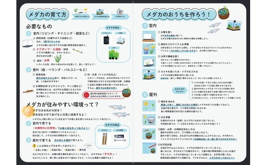 めだかさんミックス 計23匹（21匹＋死着保証2匹）（品種おまかせ） ｜ めだか メダカ 改良 飼育 生体 観賞魚 魚 ペット おまかせ ミックス ※2026年4月上旬～10月下旬頃に順次発送予定 ※北海道・沖縄・離島への配送不可