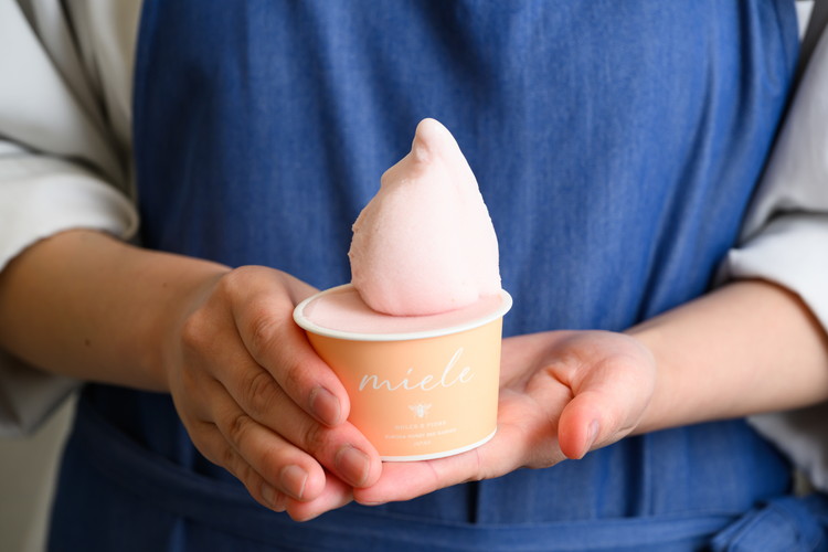 はちみつ ジェラート と はちみつ屋さん の カマンベール（ジェラート等14個）  スイーツ お菓子 アイス シャーベット お菓子 ケーキ タルト ※北海道・沖縄・離島への配送不可