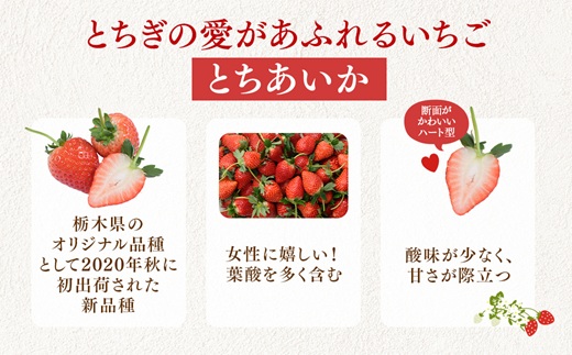 【先行予約】いちご市 鹿沼の美味しい「い」「ち」「ご」とちあいか 15粒入り320g 2パック（1月発送） ｜ イチゴ 苺 フルーツ 果物 甘い うまい 日本一 品質 ビタミンC 果実 かぬま ※沖縄・離島への配送不可 ※2026年1月上旬～1月下旬頃に順次発送予定