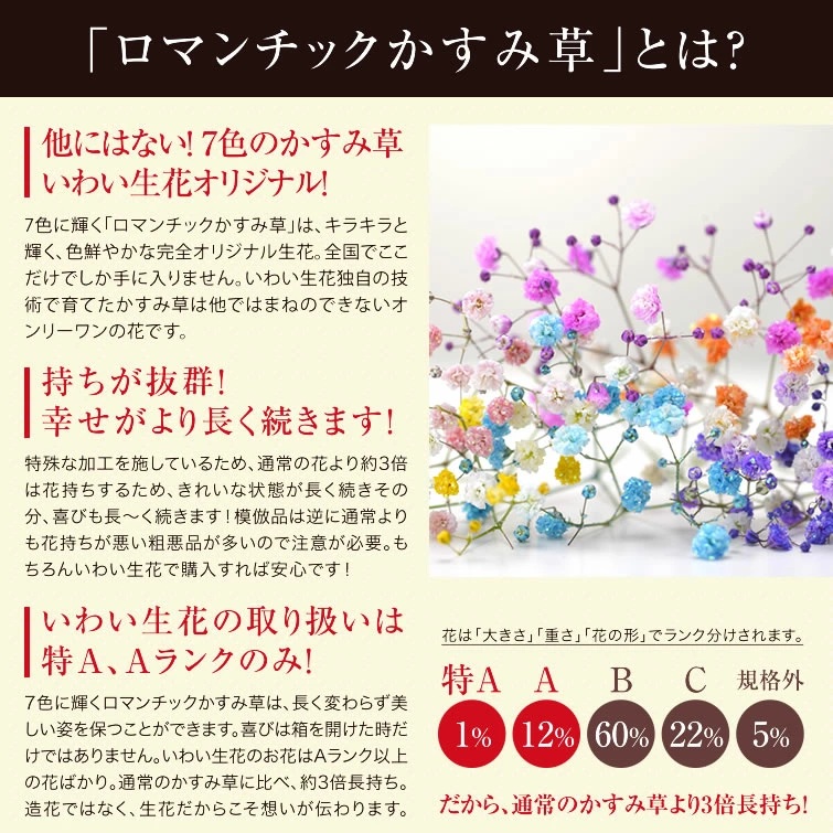 ふわふわブーケ ｜ 生花 花 ギフト ロマンチックかすみ草 七色 輝く カスミソウ カスミ草 かすみそう お祝い プレゼント カラフル 花束 おしゃれ