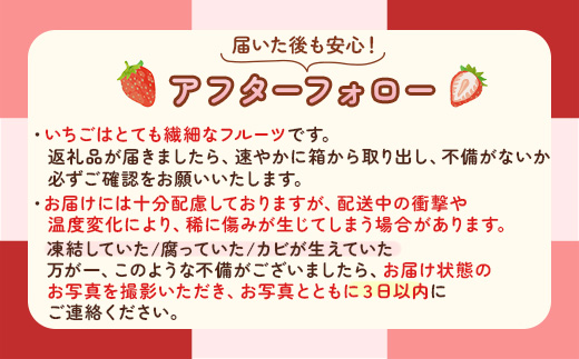【先行予約】【定期便】いちご市 鹿沼の美味しい「い」「ち」「ご」とちあいか 1箱4パック入り（1パック270g×4） 2ヶ月連続発送 全2回 お届け ｜ イチゴ 果物 甘い ビタミンC かぬま ※沖縄・離島への配送不可 ※2026年1月上旬～2月下旬頃に順次発送予定