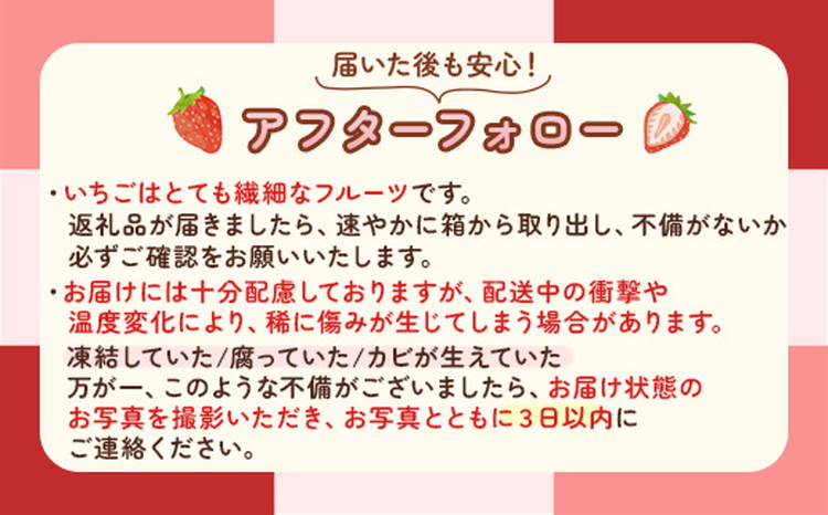 完熟オーガニックとちあいか 大玉・普通サイズ食べ比べ ※2025年12月中旬～2026年4月中旬頃に順次発送予定