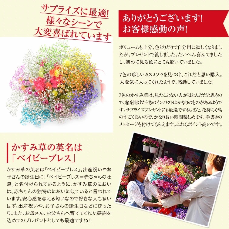 ふわふわブーケ ｜ 生花 花 ギフト ロマンチックかすみ草 七色 輝く カスミソウ カスミ草 かすみそう お祝い プレゼント カラフル 花束 おしゃれ