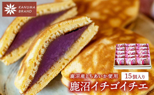 鹿沼イチゴイチエ（15個入）