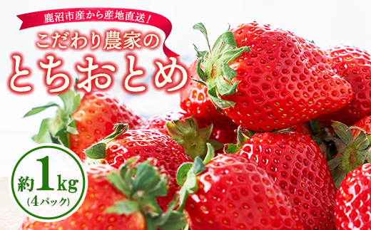 こだわり農家のとちおとめ 1kg 4パック ※2026年1月上旬～3月下旬頃に順次発送予定 ※離島への配送不可