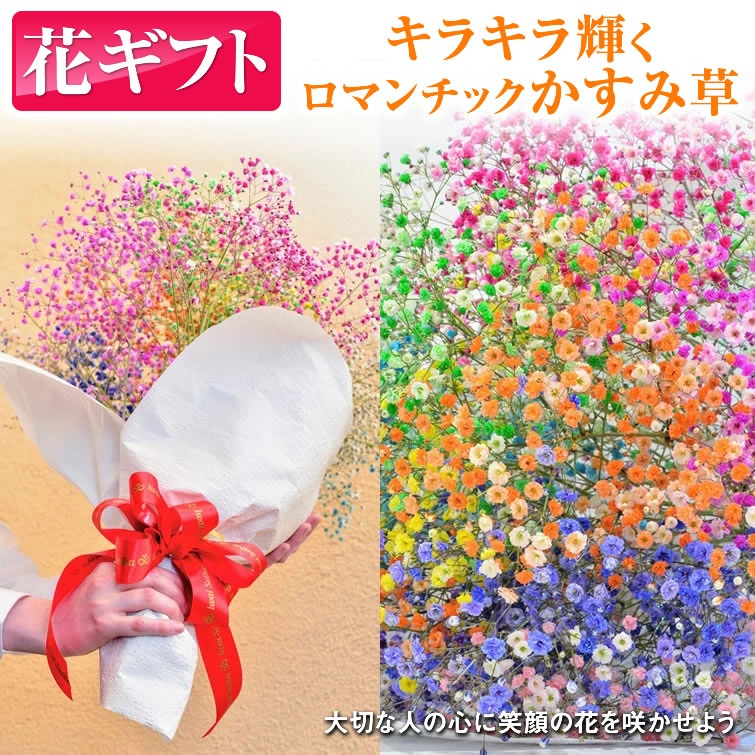 ふわふわブーケ ｜ 生花 花 ギフト ロマンチックかすみ草 七色 輝く カスミソウ カスミ草 かすみそう お祝い プレゼント カラフル 花束 おしゃれ