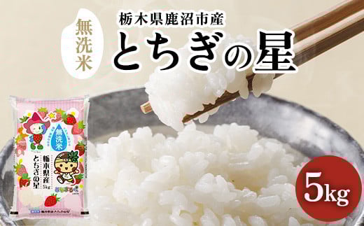 【数量限定】栃木県鹿沼市産 とちぎの星 無洗米 5kg 令和7年産 | 水稲うるち精米 単一原料米 お米 特A 大粒 甘さ ※沖縄・離島への配送不可
