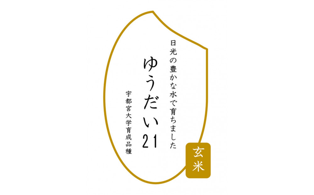 【先行予約受付】≪2025年11月発送≫令和7年産 ゆうだい21 玄米 10kg（5kg×2袋） ｜米 お米 新米 数量限定