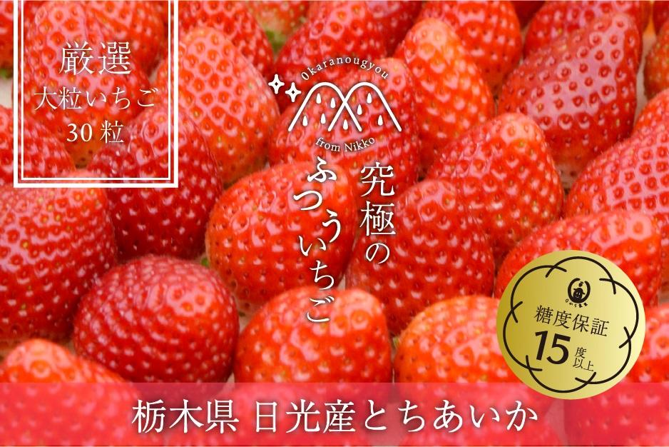 究極のふつういちご「厳選大粒とちあいか30粒入り」