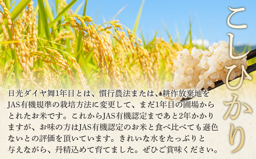 日光ダイヤ舞 1年目 玄米5キロ 有機栽培 農薬不使用 こしひかり 令和7年度米  ｜ お米 有機栽培 無農薬 コシヒカリ 栃木県 日光市