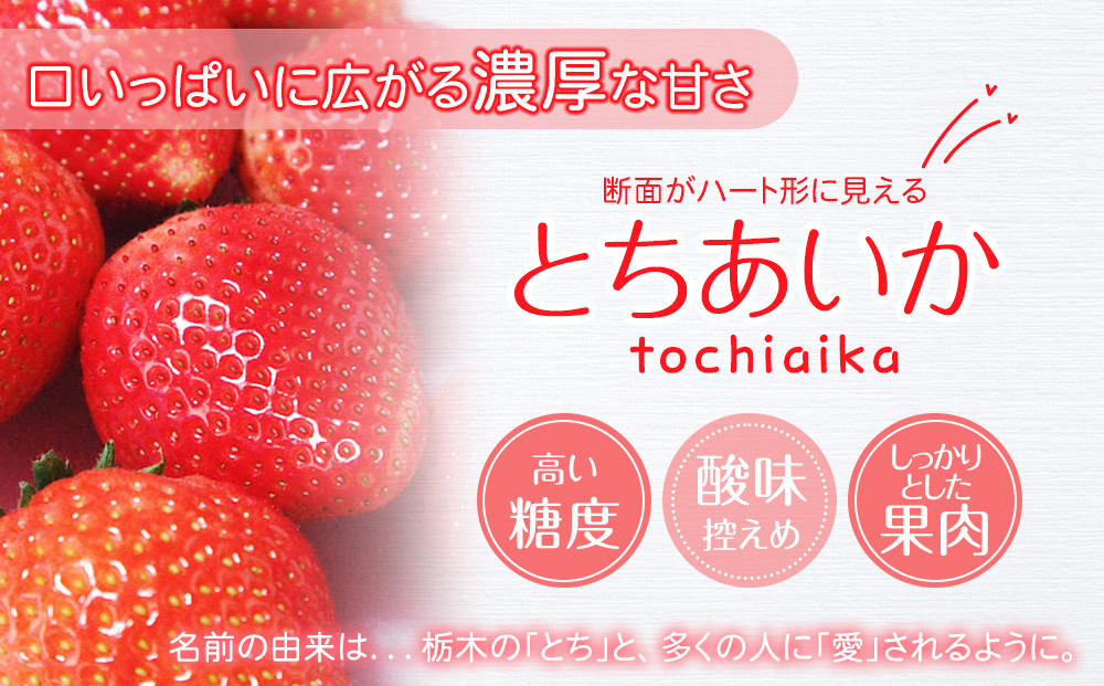 【先行予約】大粒とちあいか1パック＋大粒とちおとめ1パック=（合計）2パック入り【2026年1月上旬より順次発送】 | 生産量 日本一 果物 フルーツ 苺 イチゴ 農家直送 栃木県 日光市